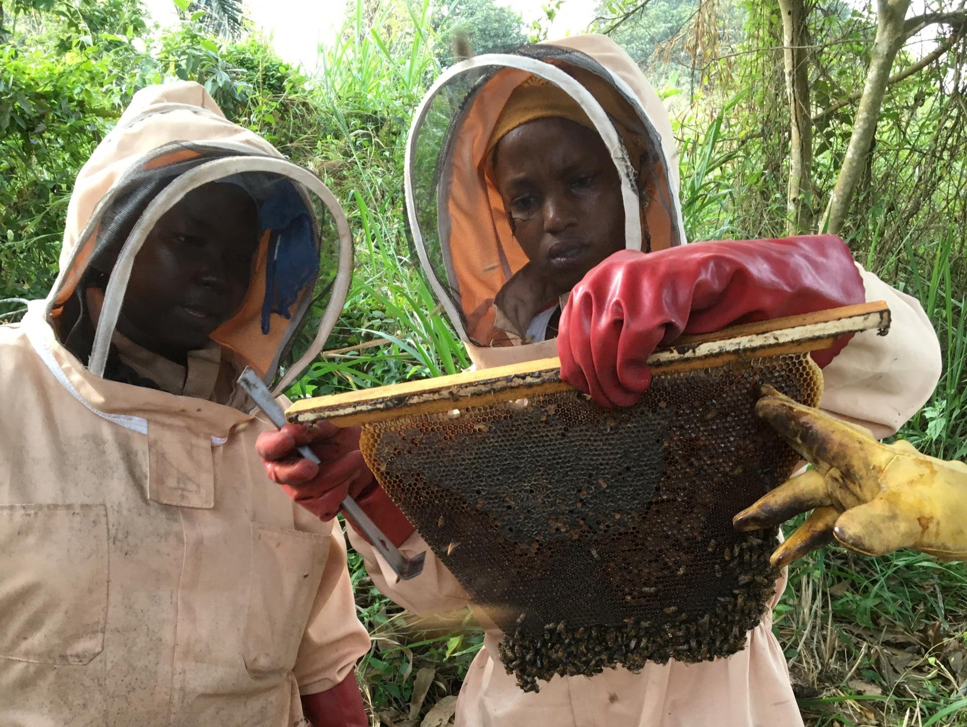 elise und elisabeth immani